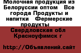 Молочная продукция из Белоруссии оптом - Все города Продукты и напитки » Фермерские продукты   . Свердловская обл.,Красноуфимск г.